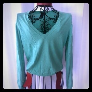 Theory 100% cashmere V-neck sweater